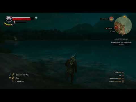 The Witcher 3 Wild Hunt pt 120 Flying Cows