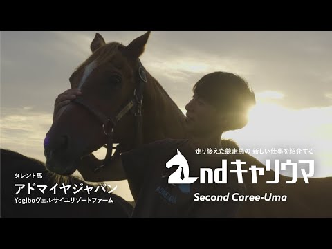 �^�����g�E�A�h�}�C���W���p��