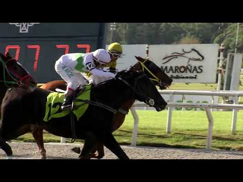 220515 c03 BRILLANTE FEVER