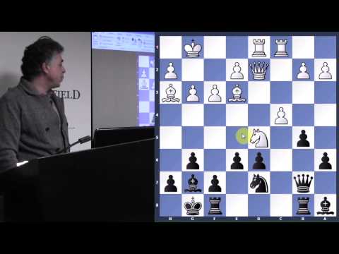 Exploring the Hedgehog - GM Yasser Seirawan - 2014.02.27