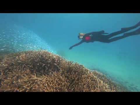 Great Keppel by Lauren