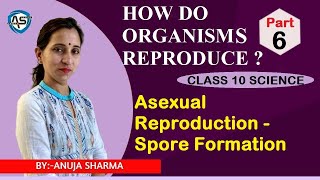 HOW DO ORGANISMS REPRODUCE - ASEXUAL REPRODUCTION SPORE FORMATION