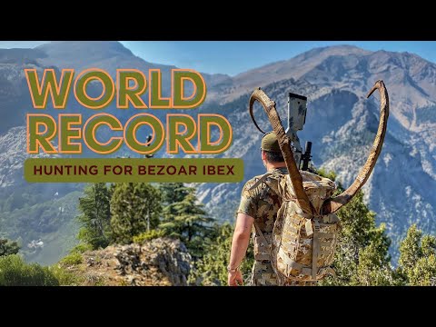 WORLD RECORD Hunting for Bezoar Ibex