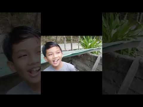 where going maangas Presentacion, and happy feista maangas