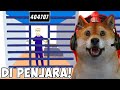 PERJUANGAN OBIT MENYELAMATKAN TEMAN DI PENJARA Dude Theft Wars 2
