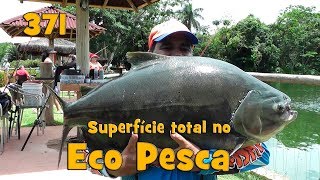 Superfície total no Eco Pesca - Fishingtur na TV 371