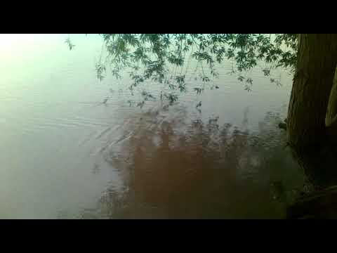 Turkmen gitara Dayanc  -Jerenim bet aydym