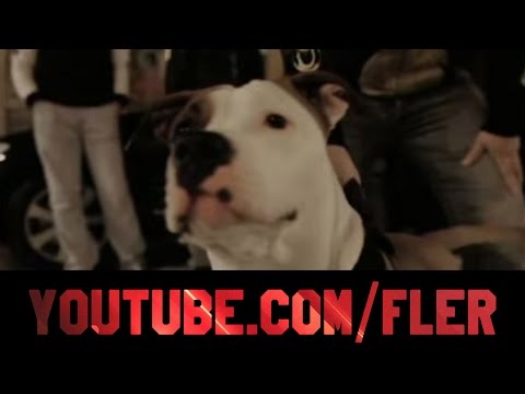 FLER  "Gangsta" Rapper feat.Silla&Reason