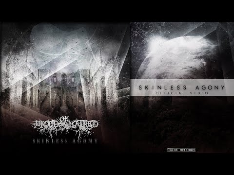 Brood Of Hatred - Skinless Agony (OFFICIAL VIDEO)
