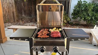 Grill Reviews - 2 gas burner grill.. CARNE ASADA!! Oh Yeah!