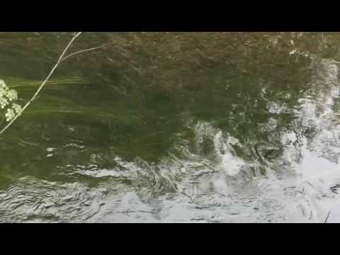 trim 3807E8B2 002F 4338 B4DD B1C36B21DC99