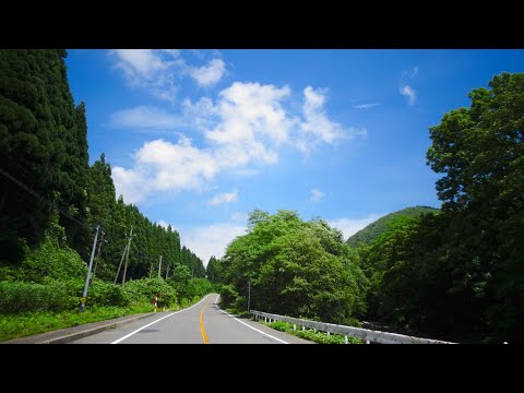 日食なつこ – ‘どっか遠くまで’ Official Music Video