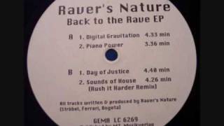 Raver's Nature - Digital Gravitation