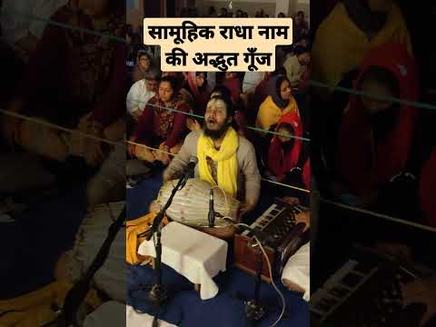 💫सामूहिक राधा नाम की अद्भुत गूँज💫 / राधा केलि कुँज