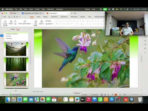 Guided tour of the Cocora Valley, Salento, Quindío, Colombia