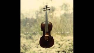 Saltillo - Ganglion (Full Album)