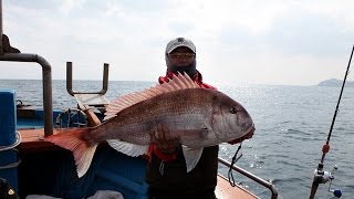 preview picture of video '제주도 jeju udo 우도 88cm 참돔 랜딩 동영상 [ 몽셔날 피싱그라피 - Mongtional Fishing Graphy ] - JS company Lure Fishing'