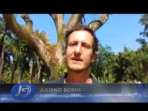 02/10/2017 - INSTITUTO INHOTIM - MUSEU A CÉU ABERTO