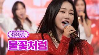 홍지윤 - 불꽃처럼