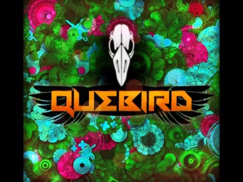 Quebird - Hard Brothers