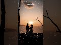 Kalyana Then Nila BGM Ilayaraja Shorts Praks Universe