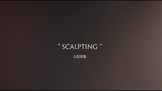 리프팅의 한계를 뛰어넘는 스칼프팅, 고정아클리닉에서 두리 리프팅의 오리지널리티를 경험하세요