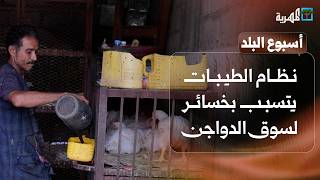 نظام الطيبات يتسبب بخسائر لسوق الدواجن بتعز وحالات غرق في حضرموت | أسبوع البلد
