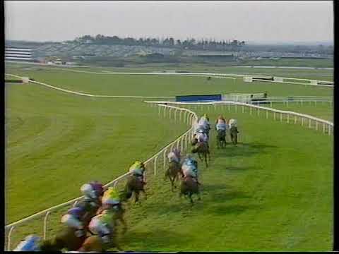 1991 Sun Alliance Novices Hurdle  Crystal Spirit Includes Replay