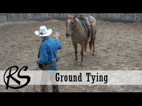 YouTube video about: How to teach a horse to ground tie?
