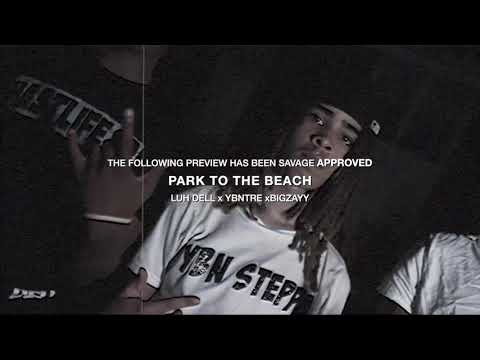 LUH DELL x YBNTRE x BIGZAYY “PARK TO THE BEACH” A T-SAVAGE FILM