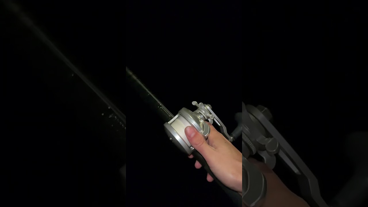 Casting far with a Bait caster reel #fishing #fishingvideo #sportfishing #fishingtips #baitcasting