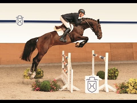 117 | Conners Boy v. Connor - Cassaro