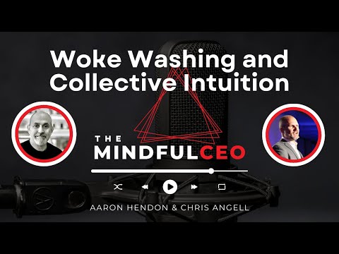 Woke Washing and Collective Intuition | The Mindful CEO Podcast
