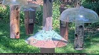 Overlook Circle Bird Feeder Cam — Bloomington