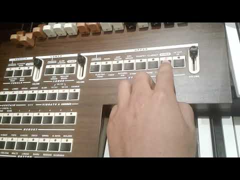 Dica de como utilizar os sons prontos do órgão tokai MD-10 e a função other