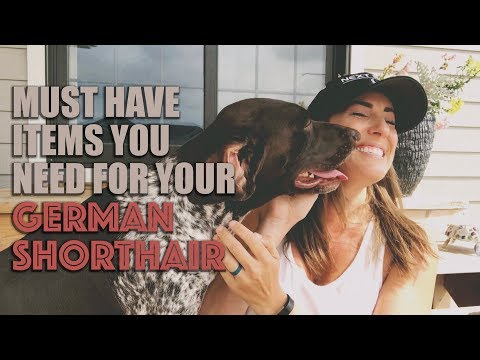 download lagu mp3 mp4 Gsp For Adoption, download lagu Gsp For Adoption gratis, unduh video klip Gsp For Adoption