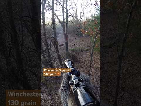 Top 5 Best .270 Winchester Rifles In The World