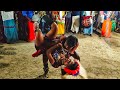 New Karakattam HD Comedy Karakattam Video 2023 Latest Karakattam Video Karakattam HD Video 2023