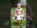 Tingkah Bayi Lucu Bayi Imoet Bayi Ketawa