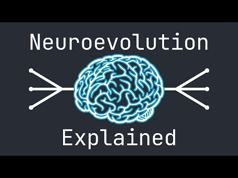 Neuroevolution Explained by Example