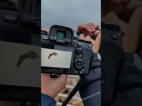 Elevate your Nikon Z9 experience