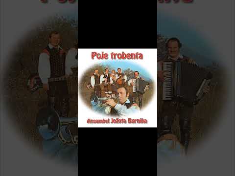 Ansambel Jožeta Burnika - Najina Obletnica