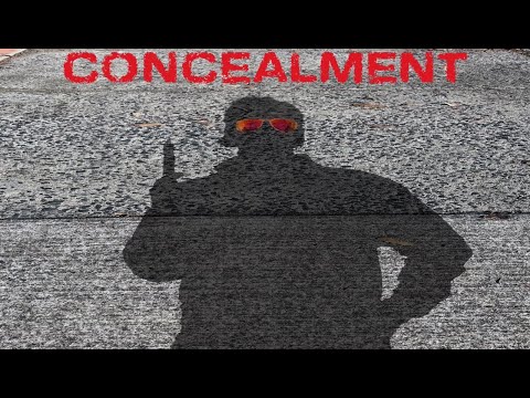 Concealment (2024)