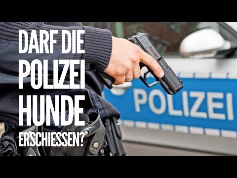 Darf die Polizei Hunde erschiessen? Expertenmeinung mit Rechtsanwalt Andreas Ackenheil
