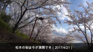 お花見インラインスケート　信州スカイパーク 20164/21