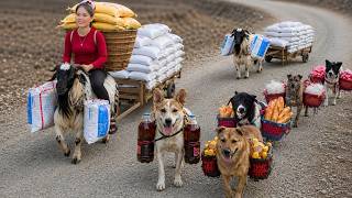 A Special Market Day with My Loyal Dogs and Goat | Survival Forest Lif
