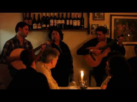 Fado, Manuela Cavaco, "Ó pinheiro meu irmão"