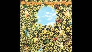 Wizz Jones - The Valley