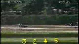 Affirmed - 1978 Belmont Stakes