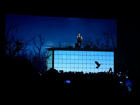 Paul McCartney - Blackbird - Live in Buenos Aires, Argentina Oct 5th 2024